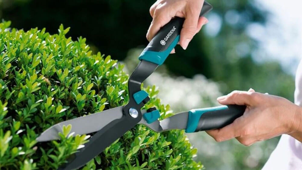 Phí quản lý chung cư bao gồm những gì?